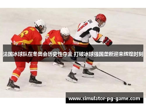 法国冰球队在冬奥会历史性夺金 打破冰球强国垄断迎来辉煌时刻