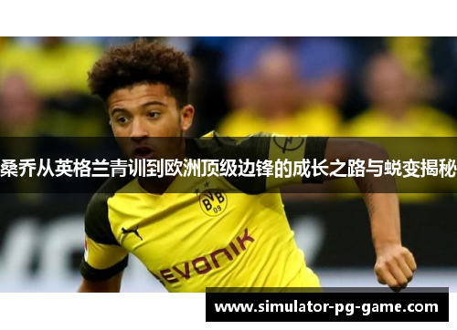 桑乔从英格兰青训到欧洲顶级边锋的成长之路与蜕变揭秘