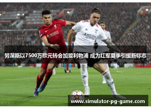 努涅斯以7500万欧元转会加盟利物浦 成为红军夏季引援新标志 努涅斯以7500万欧元转会加盟利物浦 成为红军夏季引援新标志